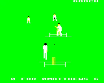 Graham Gooch's Test Cricket (19xx)(Audiogenic)[GOOCH] screen shot game playing